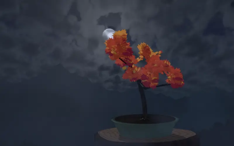 L'érable de Bonsaika en fond d'écran : vingt-quatre heures de ciel défilent derrière lui, de la nuit bleue au soleil pâle du jour, puis au soir orangé.
