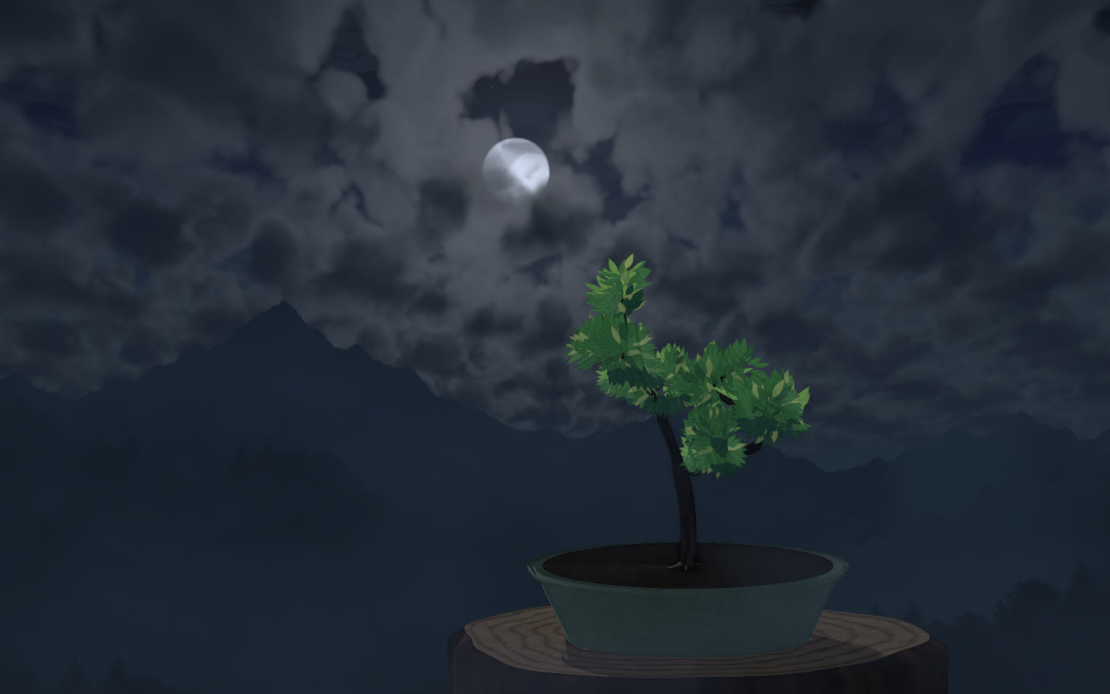 Le cerisier Kojo-no-mai la nuit : petit arbre vert clair sous un ciel de nuages bleus.