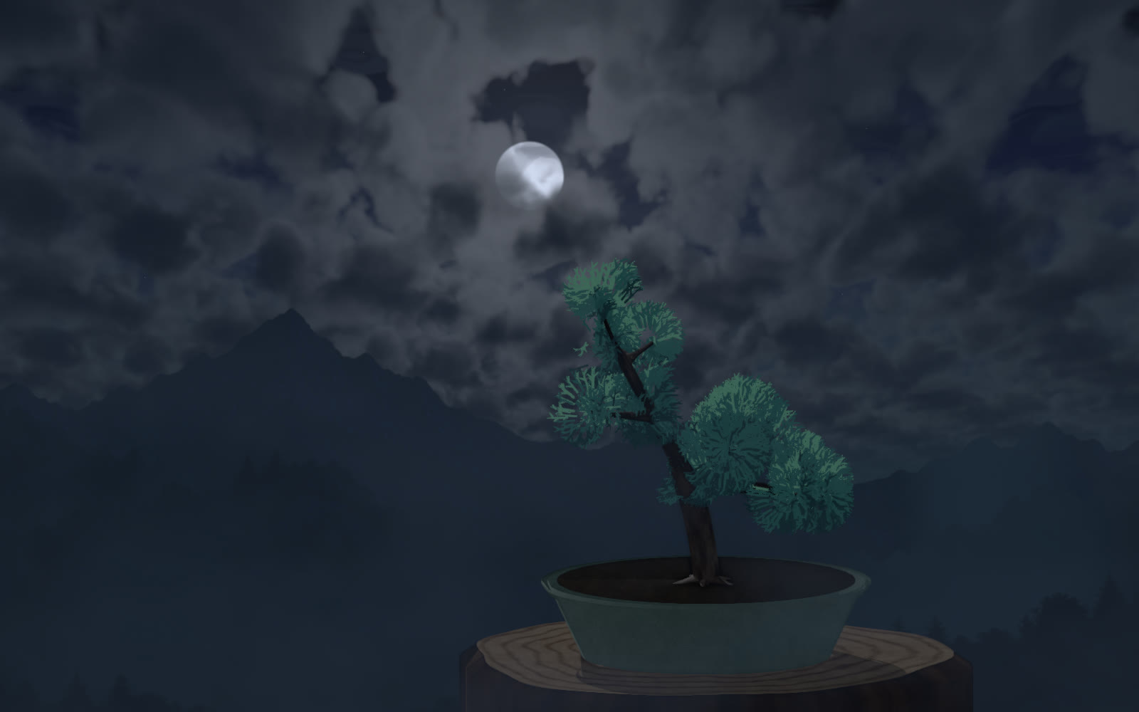 Le genévrier Shimpaku la nuit : masses de feuillage bleutées par la lune.