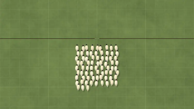 Vu du ciel, soixante-quinze moutons s’amassent contre une clôture sombre et passent un à un par une porte étroite, puis filent en ligne de l’autre côté.