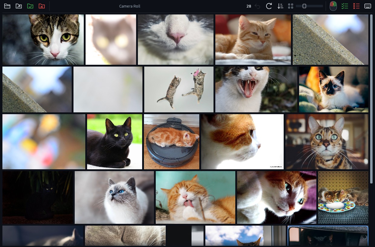 The Sortypix grid: a folder of photos in justified rows at their own proportions, under one toolbar with the size slider and the keep-all and reject-all checklist icons.